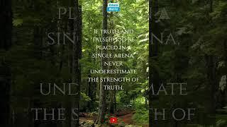Truth Quote 24