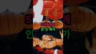 한미연합 훈련 기밀을 중국에 넘긴 남자의 충격적인 정체
