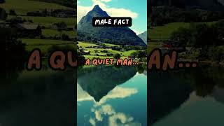 "BlinkBits | Flash Facts, Fun Finds"