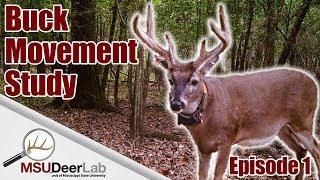 BUCK MOVEMENT STUDY - EPISODE 1: INTRODUCTION