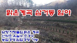 순천시 임야 3억월 / 삼거동(용수동) 맑은 계곡물이 흐르는 계곡과 접한 임야와 농지 6필지 17,832㎡(약5,394평)