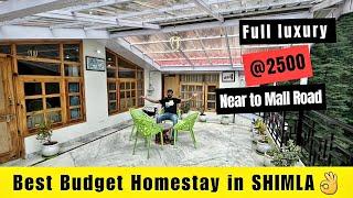 Super Comfortable Homestay in SHIMLA | Personal Experience | *No Clickbait*