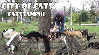 Cat lovers come from the four corners of the earth to visit these cute cats. Even from USA.