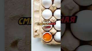 Смертельная доза куриных яиц #shorts