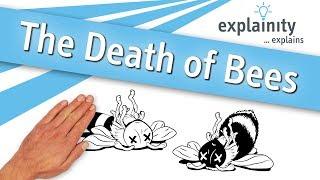 "The Death of Bees" explained (explainity® explainer video)