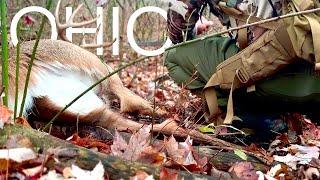 OHIO RUT HUNT|Traditional Bowhunting|The Stickboys