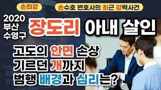 부산 수영구 장도리 아내 살인 사건(2020) - 손수호 변호사