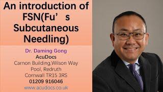 Part I:An Introduction of Fu's Subcutaneous Needling(FSN) therapy