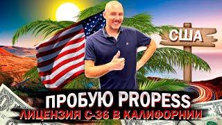 Испытываю Propress | Про лицензию сантехника в Калифорнии | Будни #37