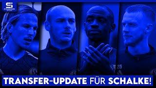 Transfer-Update Schalke: So steht es um Antwi-Adjei, Zalazar-Ausleihe, Mohr, weiterer Zugang & mehr!