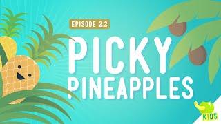 How to Get Resources - Picky Pineapples: Crash Course Kids #2.2