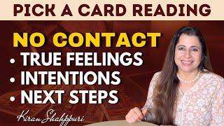  No Contact: Their True Feelings, Intentions & Next Steps  | Timeless #PickACard #TarotReading