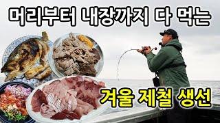 머리부터 내장까지 다 먹는 기름이 꽉 찬 겨울 제철 생선을 직접 잡아서 먹어보자 大ブリ