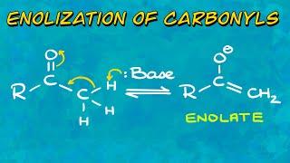 Enolization of Carbonyls: Thermodynamic vs Kinetic Enolates