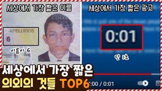 세상에서 가장 짧은 의외의 것들 TOP6