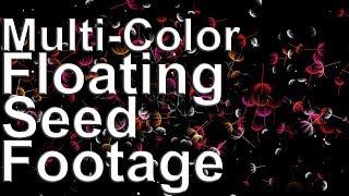 Multi Color Floating Seed Footage || FHD Video 1080p || By A S Creation Cloud ||