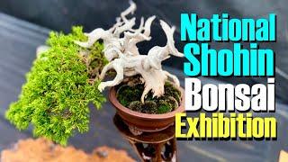 UK National Shohin Bonsai Exhibition 2022, Markham Grange, Doncaster