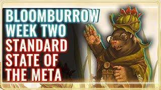 MTG Standard Decks Tier List for Bloomburrow Week 2 | MTG Rebellion