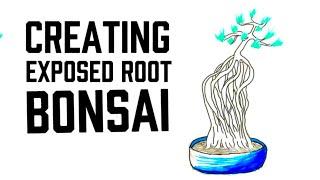 How You Can Create Exposed Root Bonsai