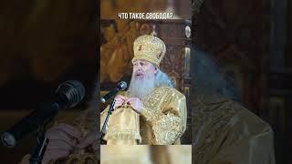 Что такое свобода?