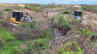 Amazing! Dozer SHANTUI Clear Land And Push Stone With DumpTruck 25TON Transpoting Stong Filling Land