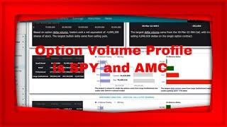 MarketChameleon.com Pre Market Show Option Volume Profile is SPY and AMC
