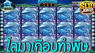 Dolphin Reef  Joker Slot สล็อตปลาโลมา วัดกันไปเลย 400-1000 โลมาเกือบทำพิษ #AMBTHAI