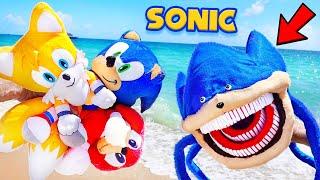 All THE SONIC TAPES - SHIN SONIC (Fun at The Beach) TAILS, KNUCKLES, SHADOW (SONIC MOVIE)