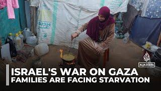 Gaza hunger crisis: Families struggling to survive on one meal a day