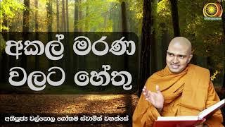 අකල් මරණ වලට හේතු - අතිපූජ්‍ය වල්පොල ගෝතම ස්වාමීන් වහන්සේ | Ven. Walpola Gothama Thero