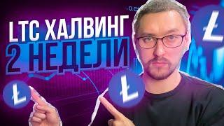 ЧТО ТАКОЕ ХАЛВИНГ ЛАЙТКОИНА (LTC) И ЗАЧЕМ ОН НУЖЕНВСЁ ЧТО НУЖНО ЗНАТЬ НОВИЧКУ