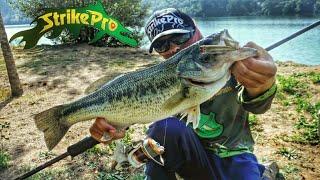 Pesca ao Achigã com poper da Strike Pro