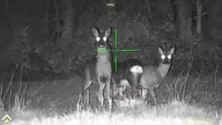 Arken Zulus Night Vision, Deer Rabbits and Rats all seen on a night out with the Rimfire