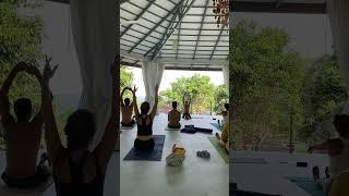 Short campus of Hatha yoga class led by our senior teacher #yoga #hathayoga #ytshorts