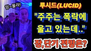 테슬라는 14번, 루시드는 앞으로 몇번?