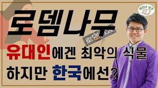 [열린다성경4] 로뎀나무, 이게 똥이야 된장이야? | 식물(4)