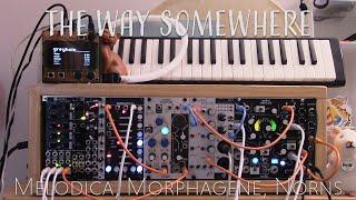 The Way Somewhere - generative ambient eurorack modular piece no. 45 [melodica, morphagene, uTides]