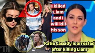 Katie Cassidy, Liam Payne's girlfriend, breaks down in tears after watching CCTV and confesses