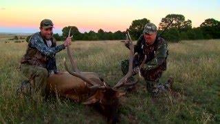 Will Primos and Jimmy Primos Rifle Hunt Big Elk in New Mexico