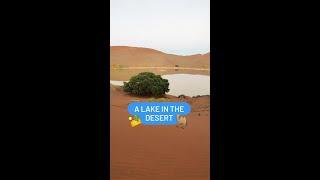 Have you ever seen a lake in a desert? ️ Here is one – in Namib Desert!