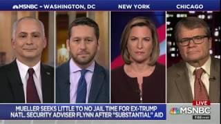 MSNBC: Rep. Quigley Joins “Hardball” Panel to Dissect the Michael Flynn Memo & Mueller Probe