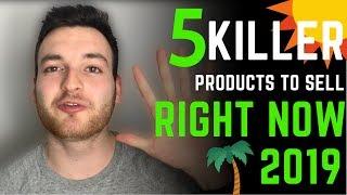 5 BEST Shopify Products To Sell Right Now 2019 | Dropshipping Product List