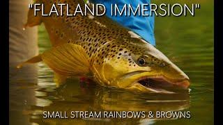 FLATLAND IMMERSION - Small Stream Fly Fishing Rainbow & Brown Trout