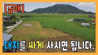 [가격조정 1억9천9백] 대지를 급매로 싸게 사세요 / 강화도토지 / 강화도부동산 / 강화도전원주택 / 강화도농막 / 전원주택부지