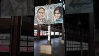 Detroit's Black Bottom and Paradise Valley Portraits