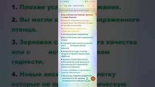 Клещ у волнистого попугая.  Причины и стадии заболевания