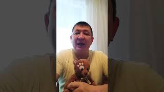 Баскетбол. Евролига. 03.12.24