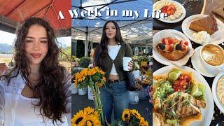 A Week in my Life in Los Angeles :)