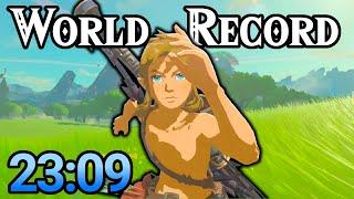 BotW Any% 23:09 [Former WR]