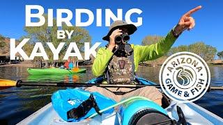 Birding by Kayak